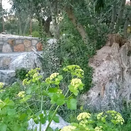 Katerina's * Agia Efimia